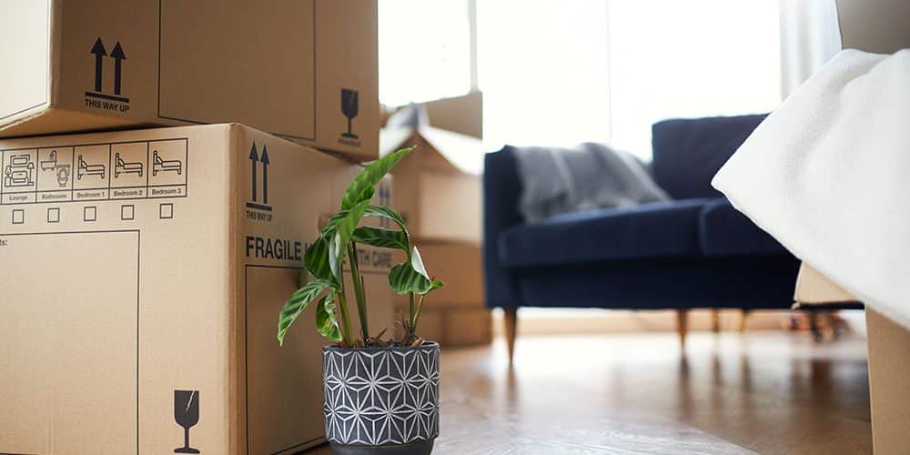 moving-day moving-day