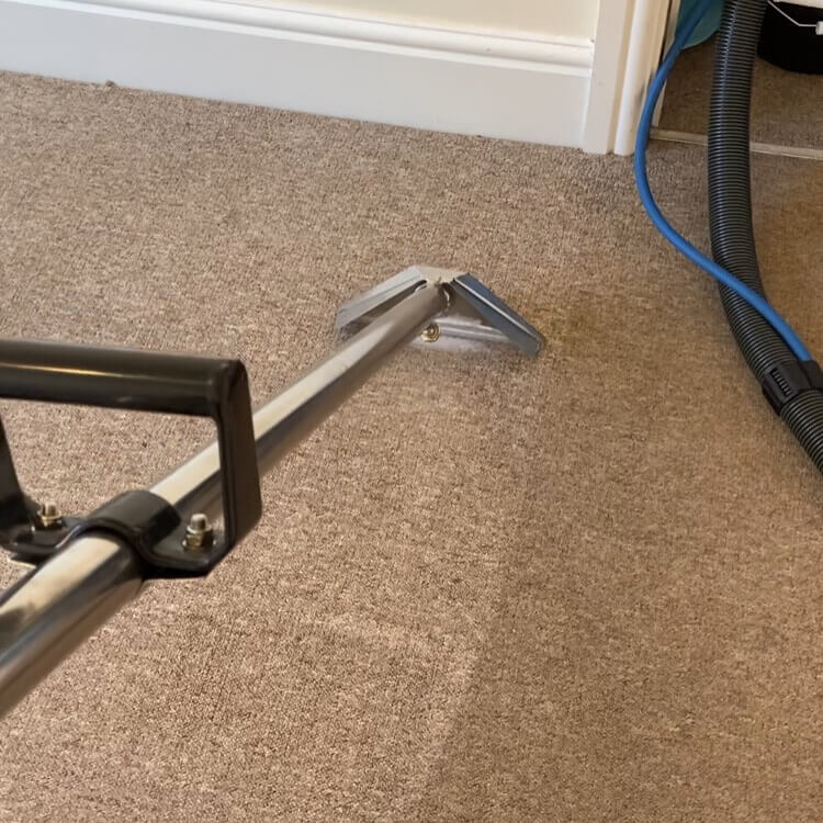 Carpet Cleaning in Bromley 3