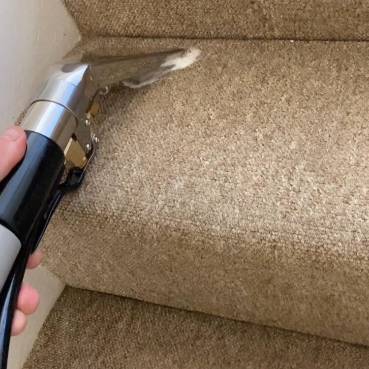 Carpet Cleaning in Bromley 6